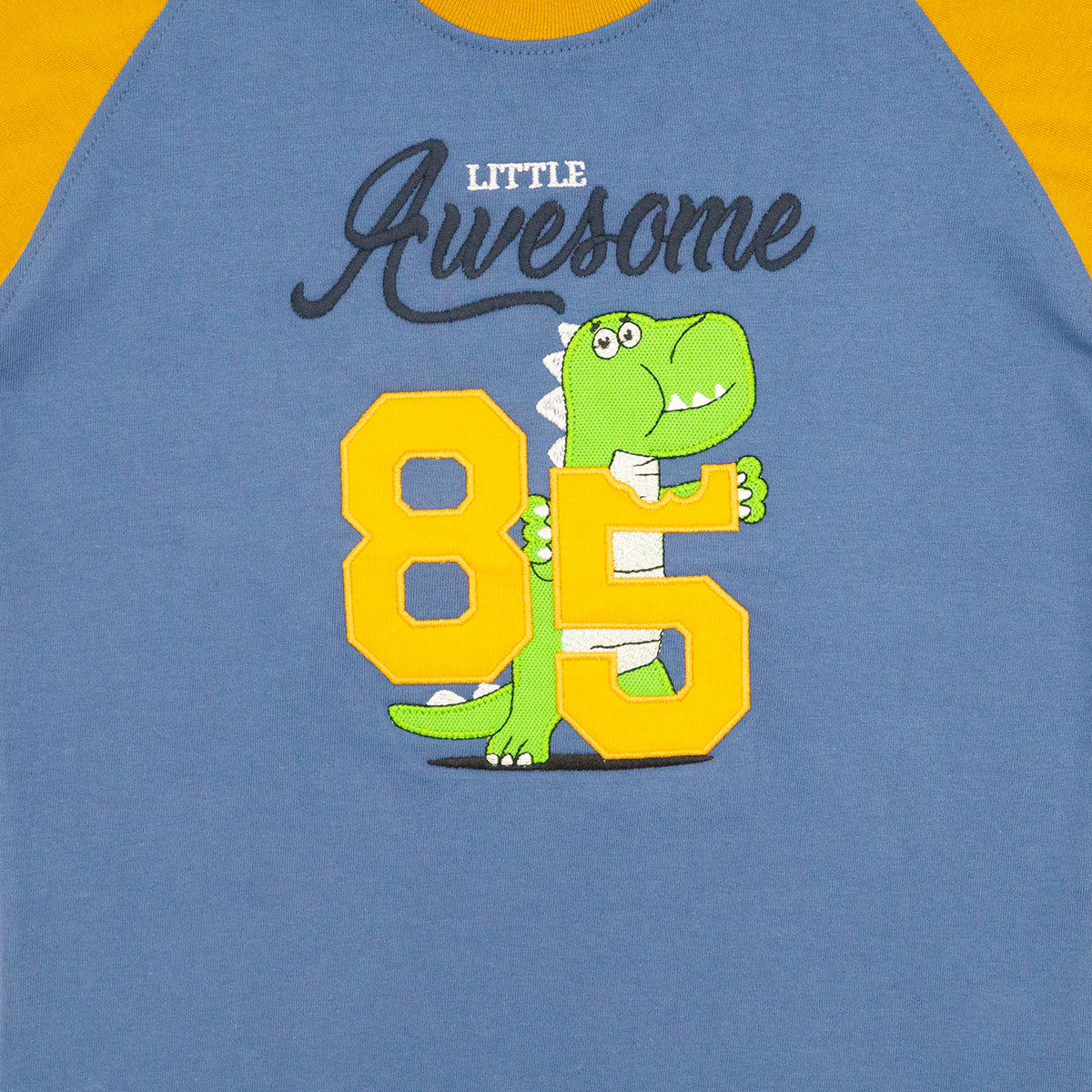 Playera redondo RAPTOR manga corta para niño infantil