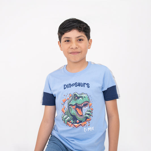 Playera Cuello Redondo Dino