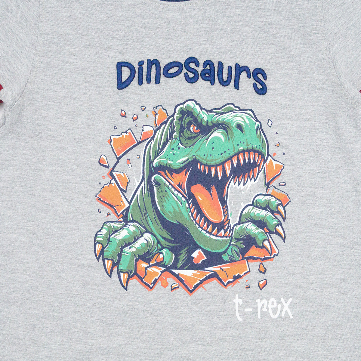 Playera Cuello Redondo Dino