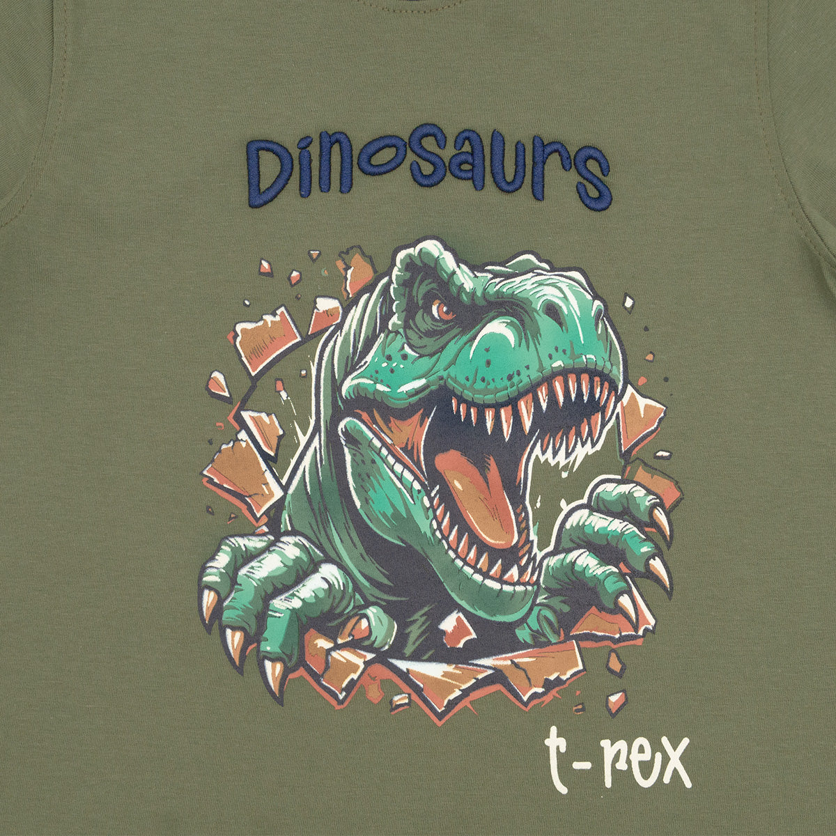 Playera Cuello Redondo Dino