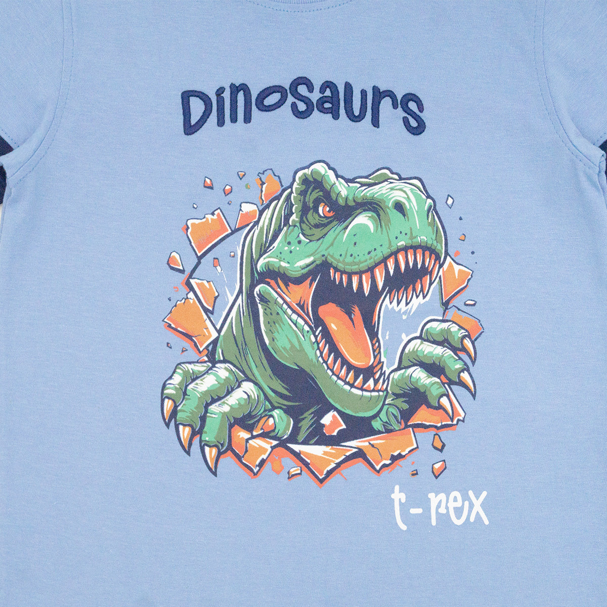 Playera Cuello Redondo Dino