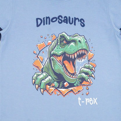 Playera Cuello Redondo Dino